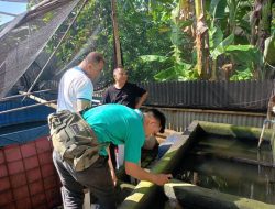 Kolaborasi Cegah DBD, Pemkot Tangerang Ajak Masyarakat Terapkan 4M Plus