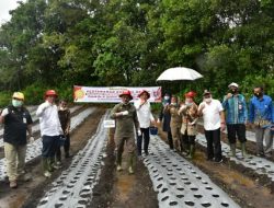 Kurangi Impor Dua Poktan di Humbahas Ditargetkan Jadi Penghasil Bawang Putih