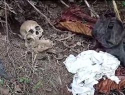 Warga Geger Pohon Mati 4 Tahun di Sergai Simpan Tumpukan Tengkorak Manusia