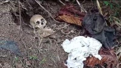 Warga Geger Pohon Mati