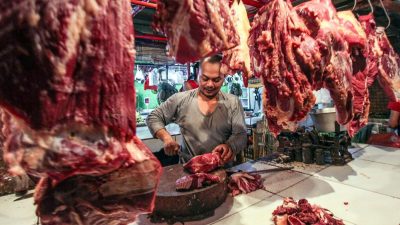 Harga Daging Sapi Naik