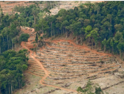 Suara Alarm Longsor Jadi Teman Warga Kalongan Semarang yang Hidup dalam Kekhawatiran